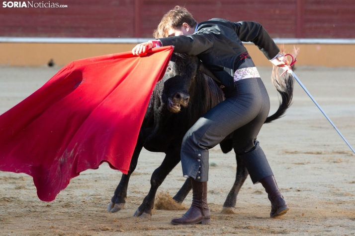 Novillada en clase práctica