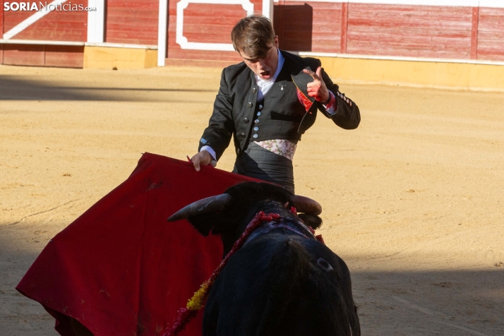 Novillada en clase práctica