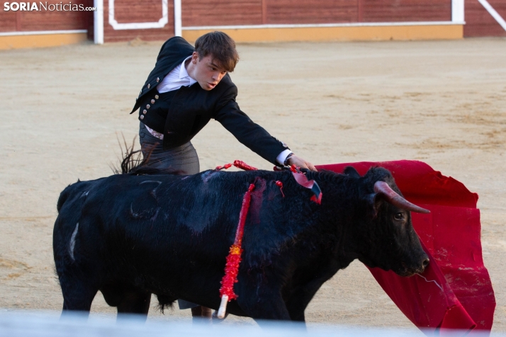 Novillada en clase práctica