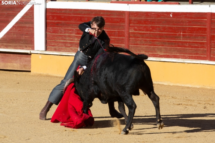 Novillada en clase práctica