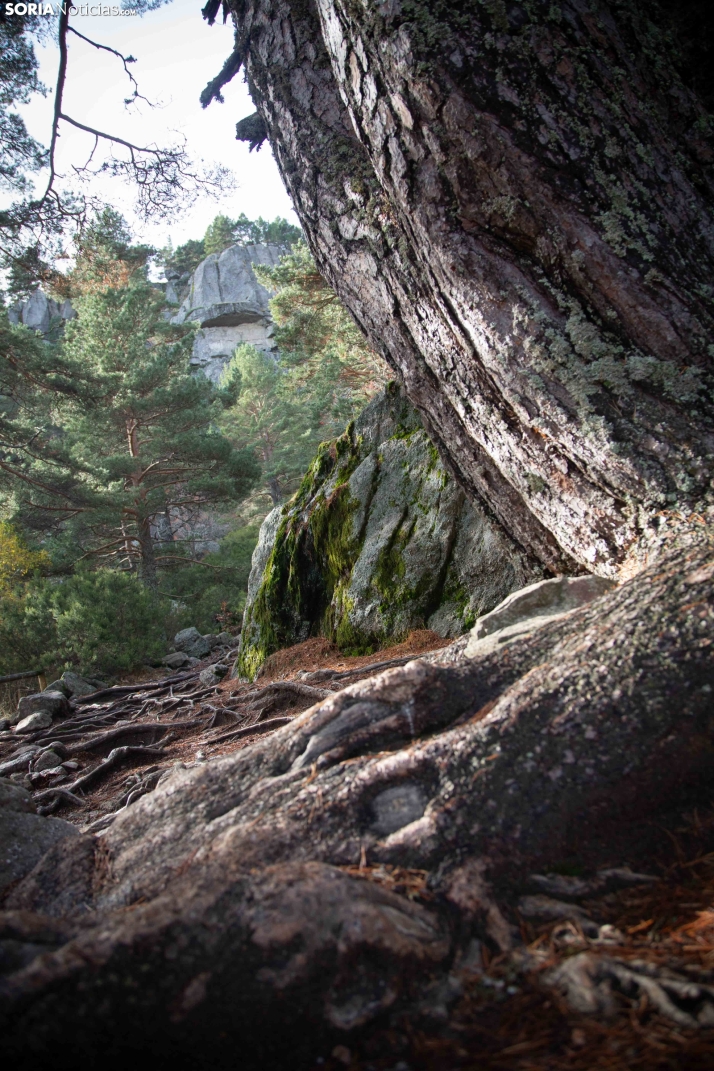 Paseo por la Laguna Negra