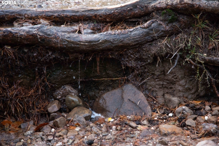 Paseo por la Laguna Negra
