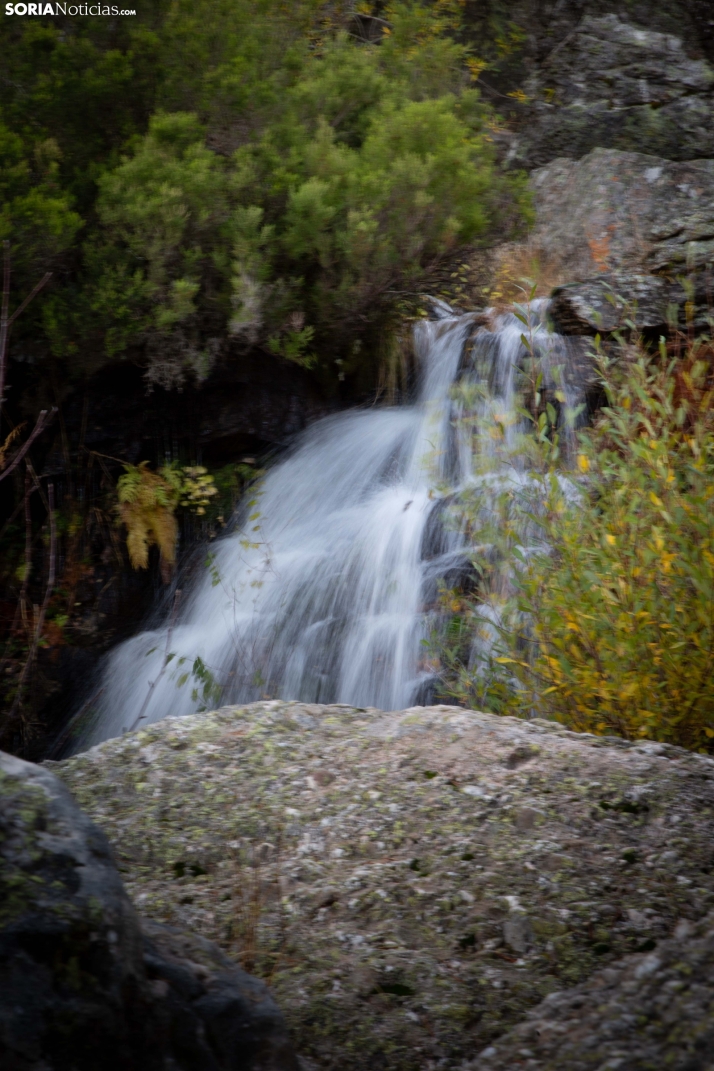 Paseo por la Laguna Negra