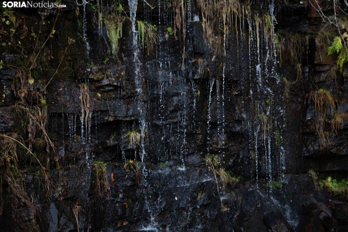 Paseo por la Laguna Negra