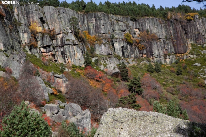 Paseo por la Laguna Negra