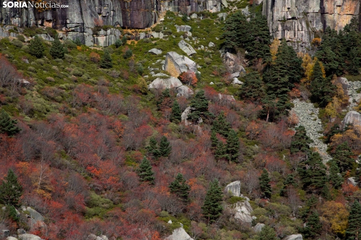 Paseo por la Laguna Negra