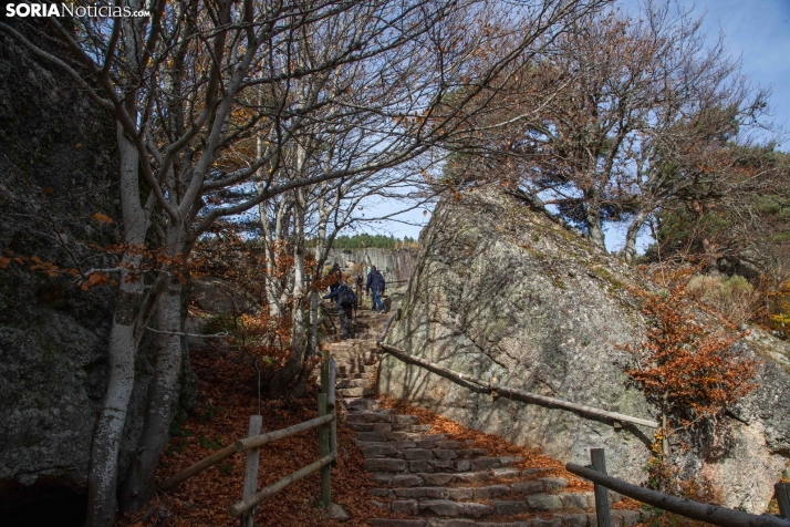 Paseo por la Laguna Negra