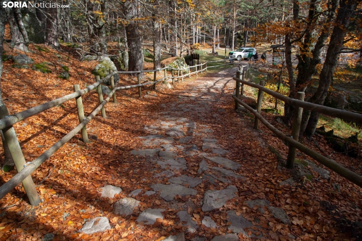 Paseo por la Laguna Negra