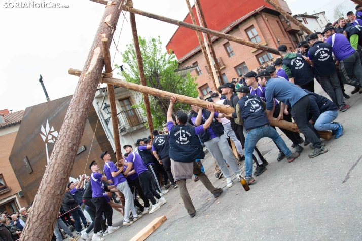 Pingada del Mayo 2025 San Leonardo