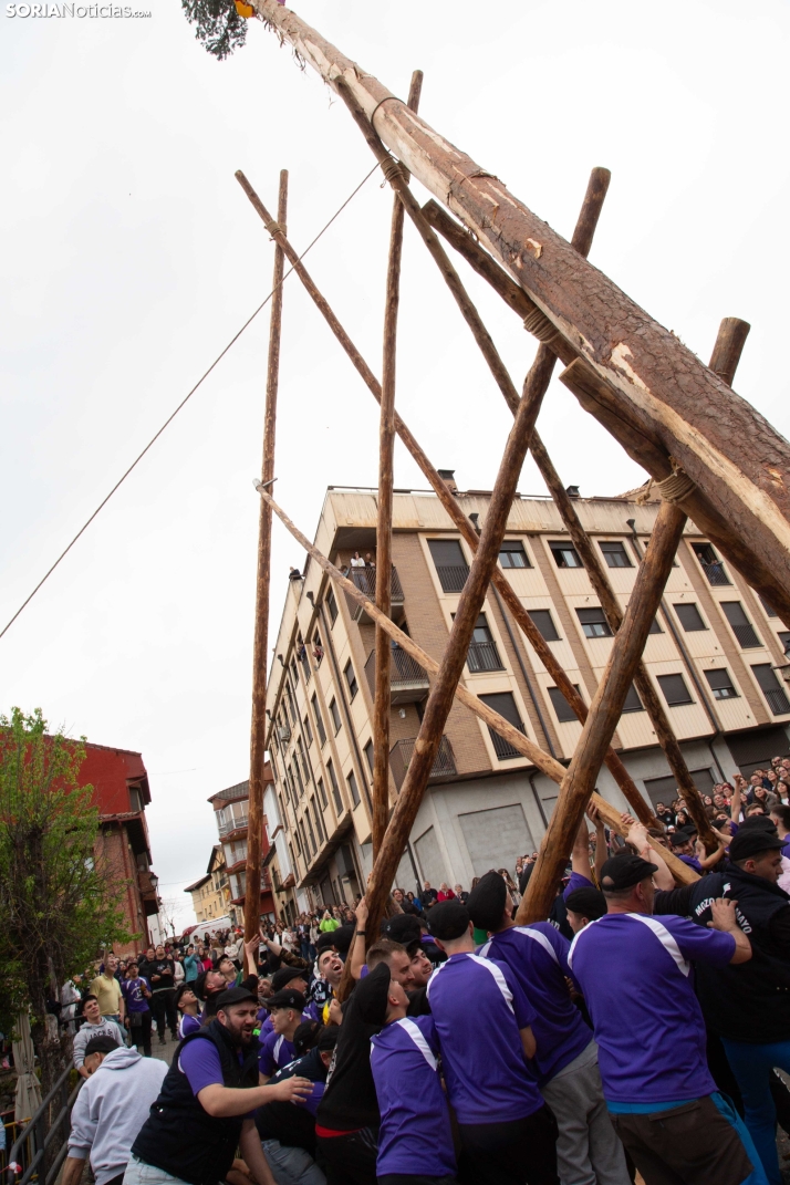 Pingada del Mayo 2025 San Leonardo