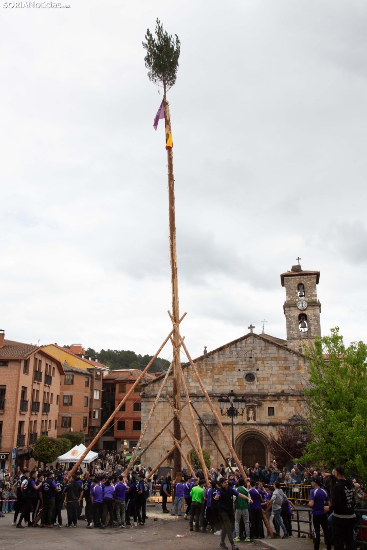 Pingada del Mayo 2025 San Leonardo