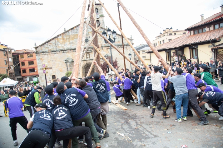 Pingada del Mayo 2025 San Leonardo