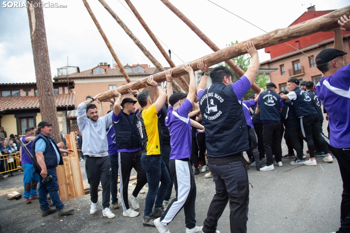 Pingada del Mayo 2025 San Leonardo