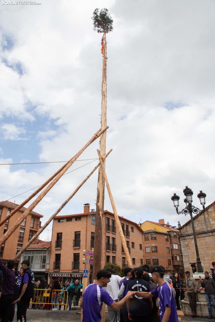 Pingada del Mayo 2025 San Leonardo