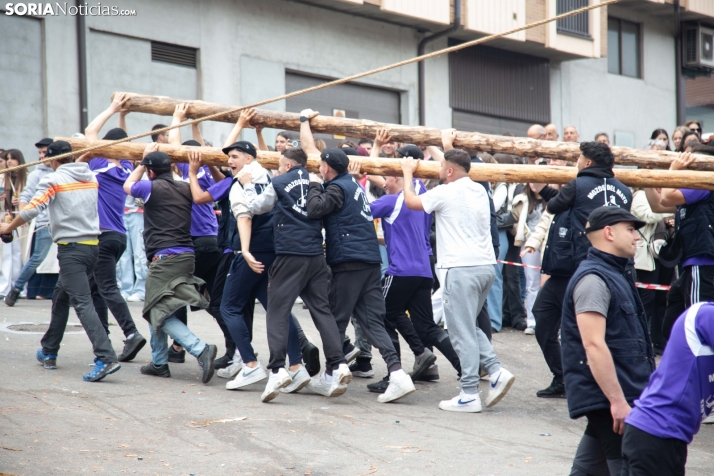 Pingada del Mayo 2025 San Leonardo