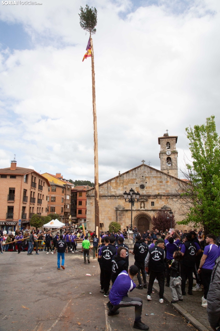 Pingada del Mayo 2025 San Leonardo