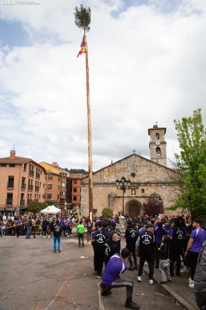 Pingada del Mayo 2025 San Leonardo