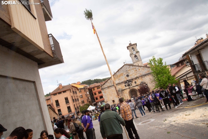Pingada del Mayo 2025 San Leonardo