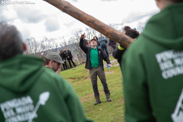 Pingada del Mayo en Covaleda 2025