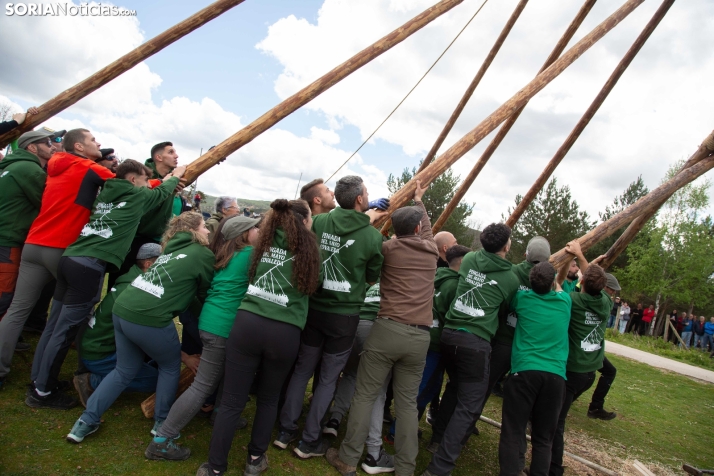 Pingada del Mayo en Covaleda 2025