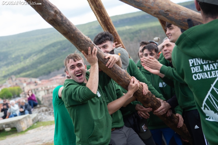 Pingada del Mayo en Covaleda 2025