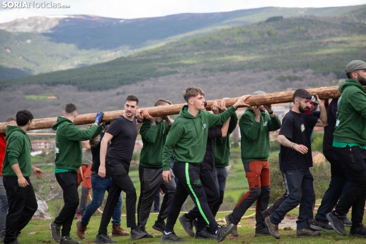 Pingada del Mayo en Covaleda 2025