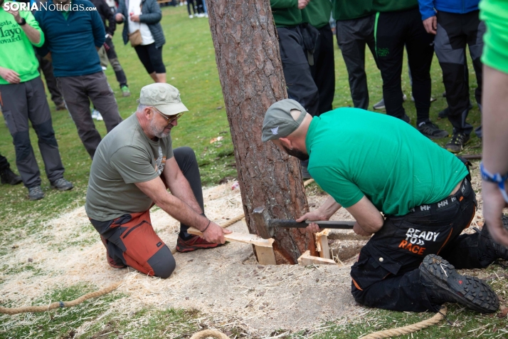 Pingada del Mayo en Covaleda 2025