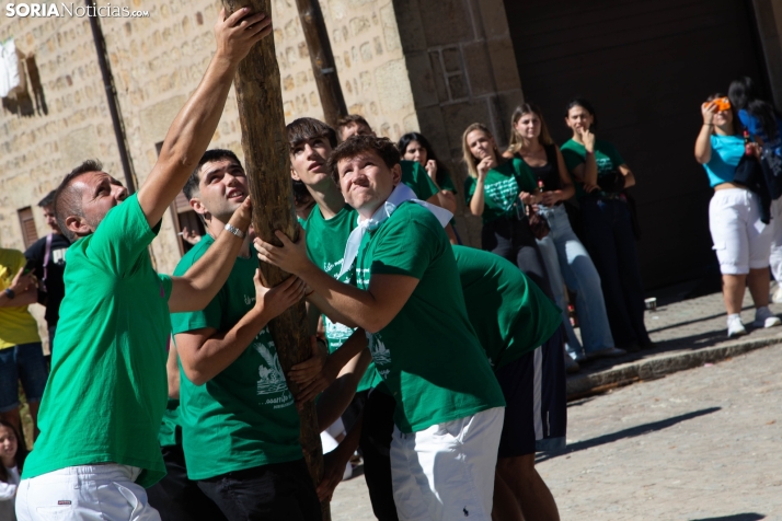 Pingada del Mayo en Duruelo