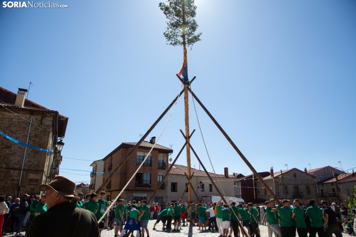 Pingada del Mayo en Duruelo