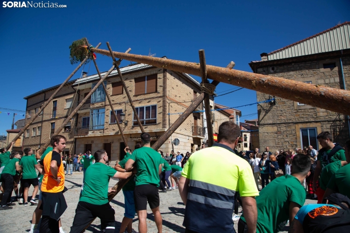 Pingada del Mayo en Duruelo