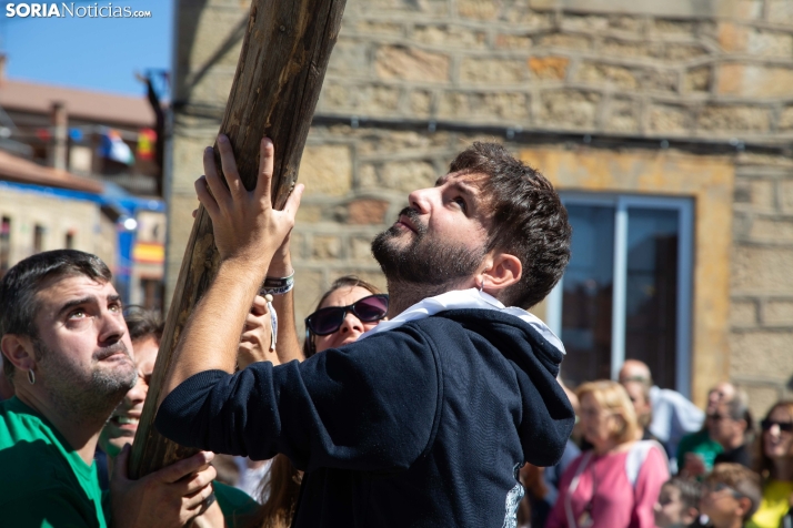 Pingada del Mayo en Duruelo