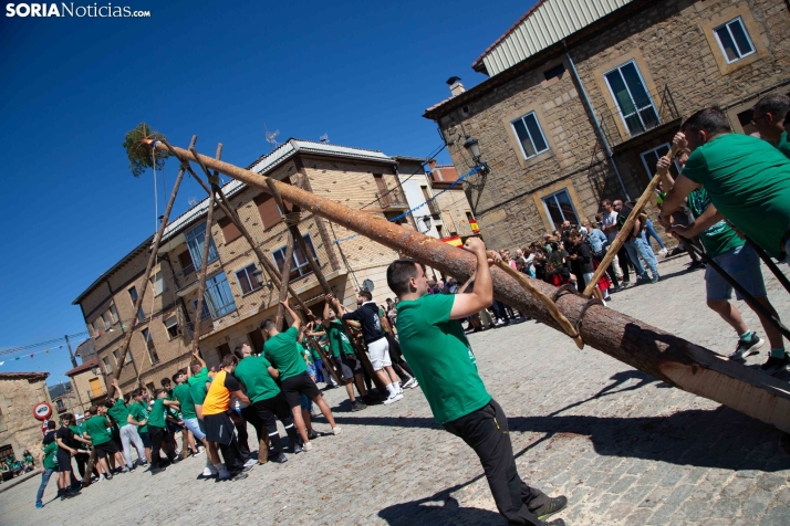 Pingada del Mayo en Duruelo