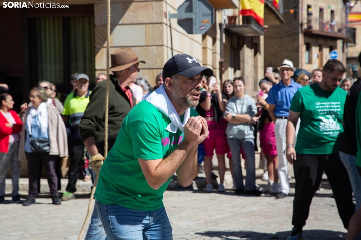 Pingada del Mayo en Duruelo