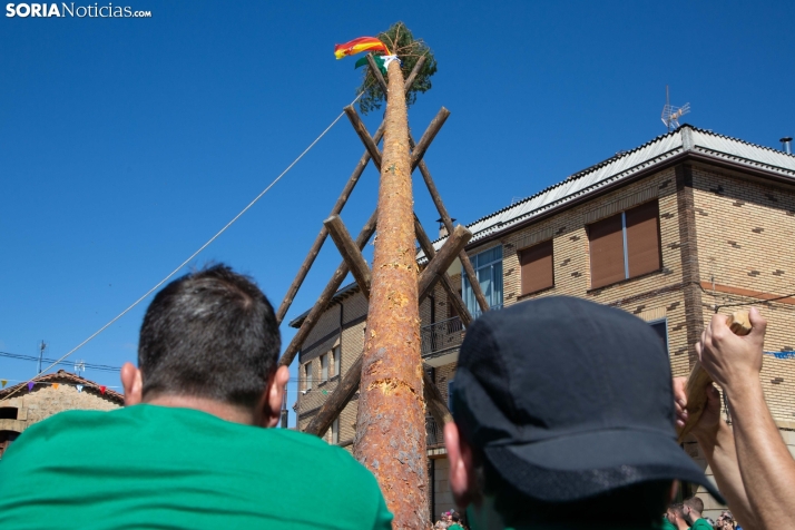 Pingada del Mayo en Duruelo
