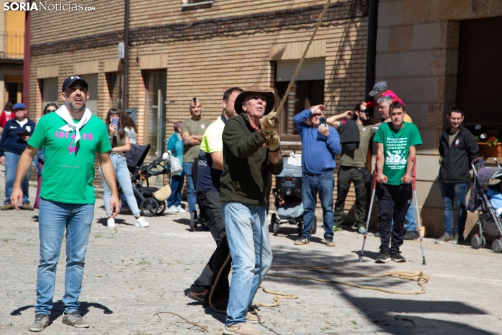 Pingada del Mayo en Duruelo