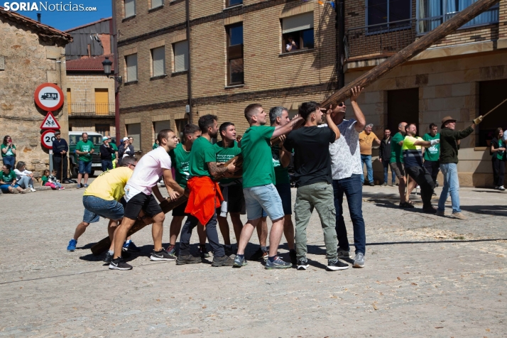 Pingada del Mayo en Duruelo