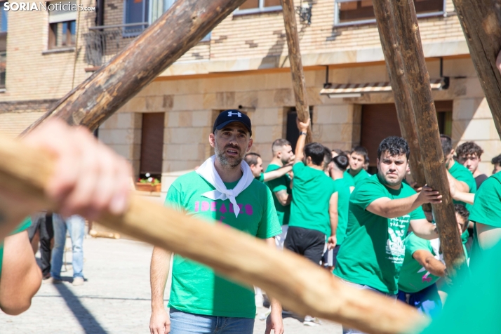 Pingada del Mayo en Duruelo