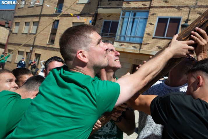 Pingada del Mayo en Duruelo