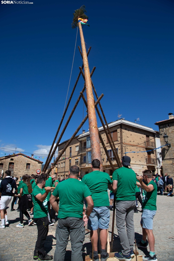 Pingada del Mayo en Duruelo