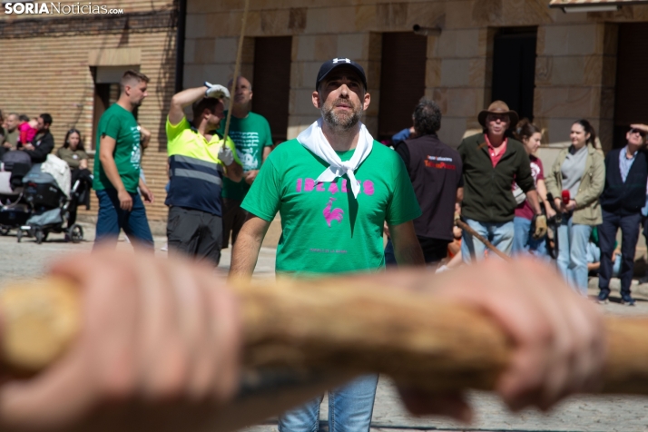 Pingada del Mayo en Duruelo