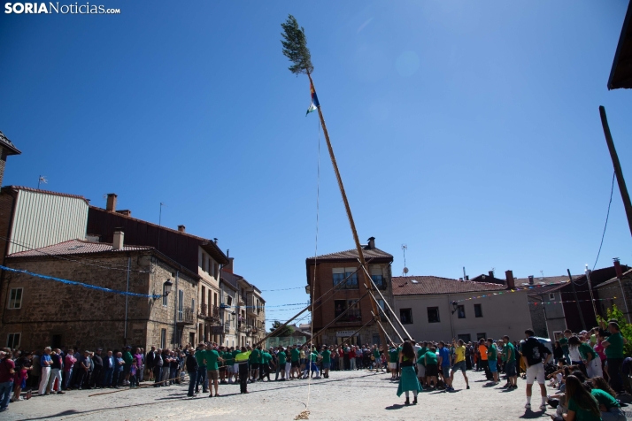 Pingada del Mayo en Duruelo