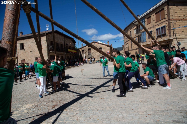 Pingada del Mayo en Duruelo
