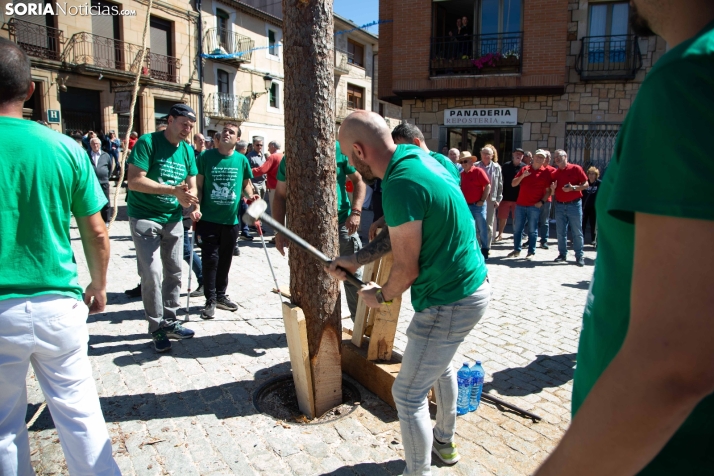 Pingada del Mayo en Duruelo