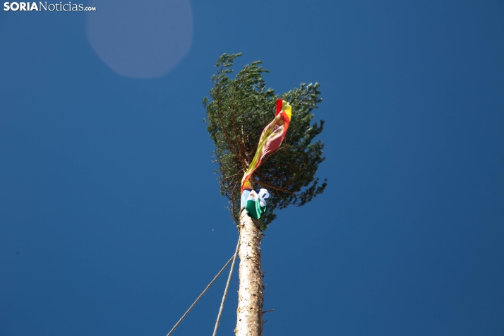 Pingada del Mayo en Duruelo