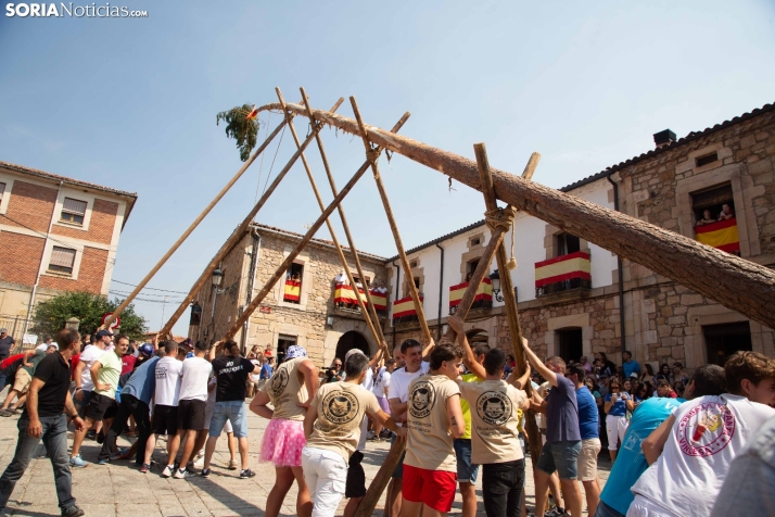 Pingada del mayo en Vinuesa