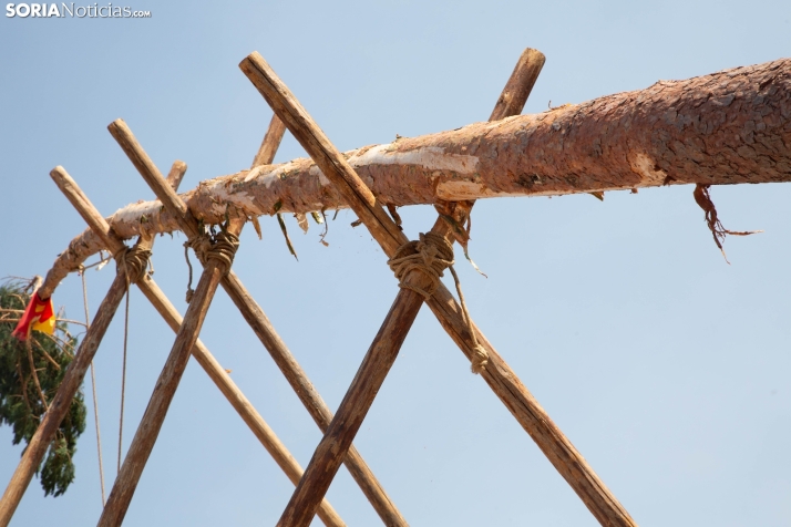 Pingada del mayo en Vinuesa