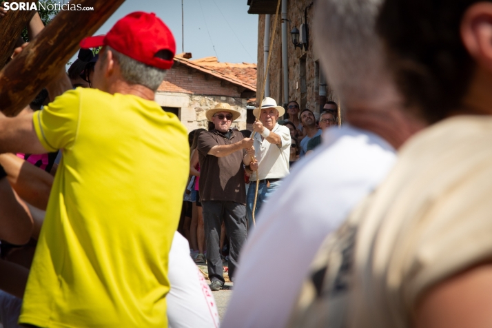Pingada del mayo en Vinuesa