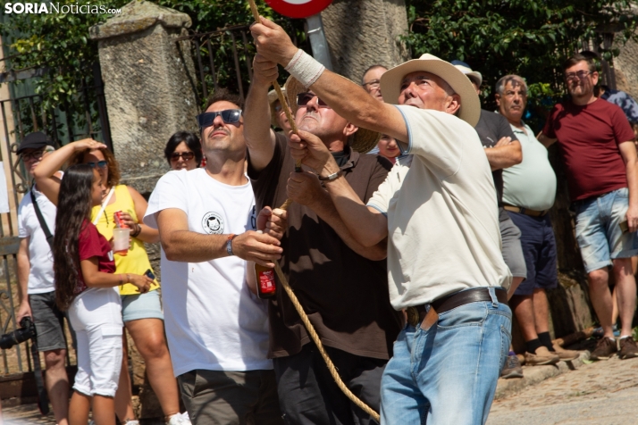 Pingada del mayo en Vinuesa