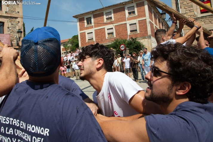 Pingada del mayo en Vinuesa