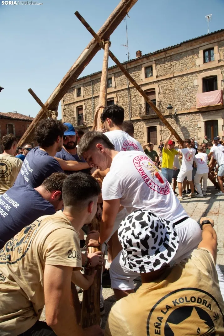 Pingada del mayo en Vinuesa